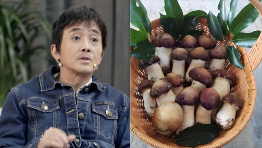 我命由我不由天挑战,2025奥门资料免费大全,详细释义解释落实_户外版V6.53