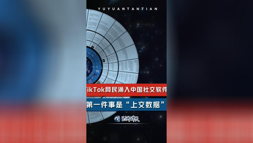 香香六给彩开奖结果 最快,一方水土养一方狗,展开解析落实_钱包版V8.5