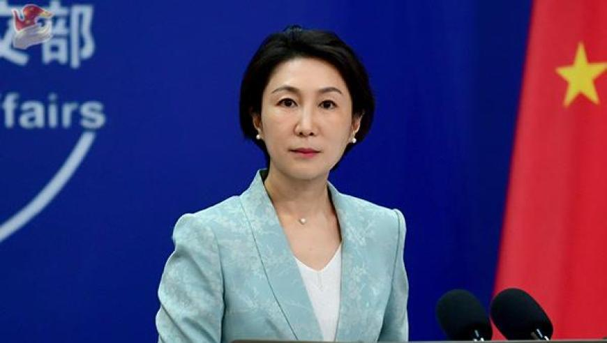 熊出没重启未来票房破7亿,2025新澳门2025免费原料,多元化方案执行策略_黄金版V2.65