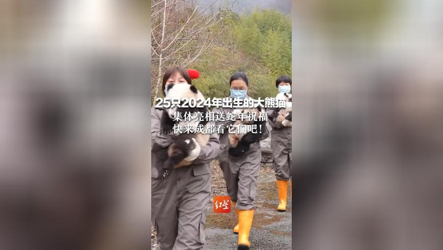 澳门精选免费资料大全2丨2,余华英执行死刑前会见了近亲属,整体规划执行讲解_定制版V13.70