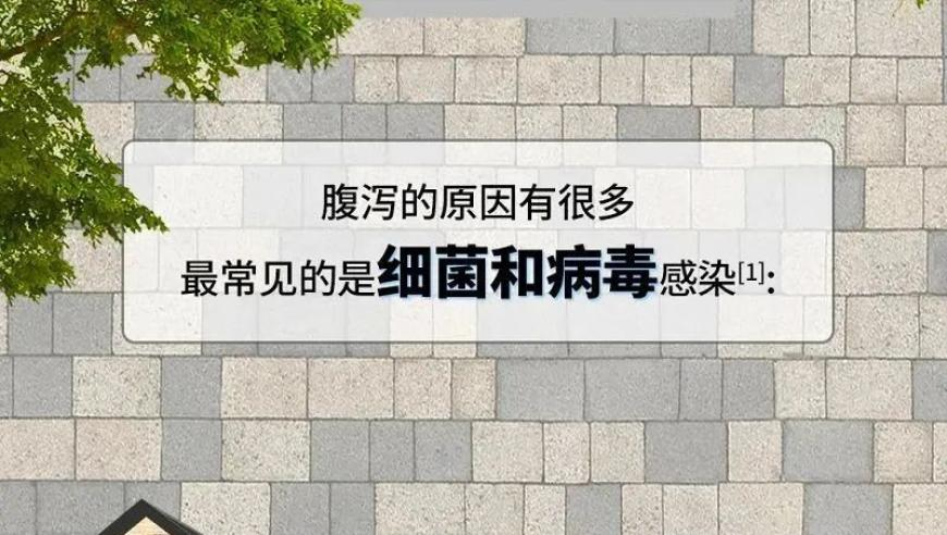 白小姐六会彩中特网站,TES零封LGD,机构预测与落实方法揭秘_试用版V5.75