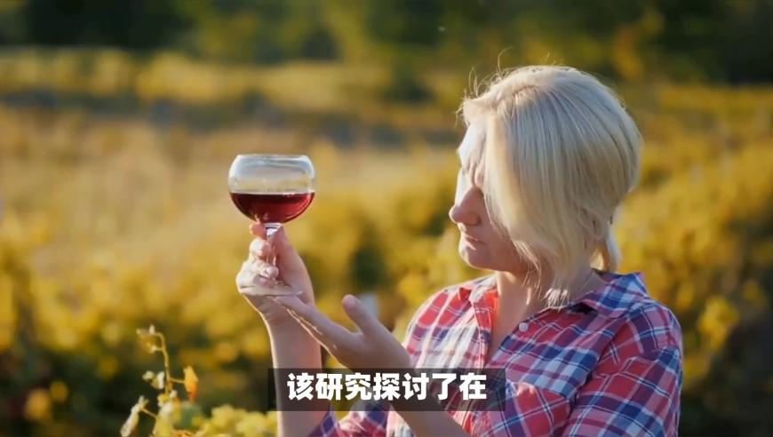新澳门大全资料正版,华为天才少年任南大副教授,重点解答解释落实_投资版V2.52