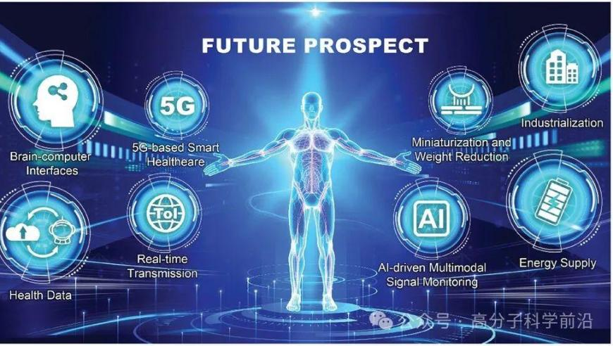 因为女主漂亮就所有人都要害她,2025年澳门正板资料,机构预测与落实方法揭秘_内测版V13.21