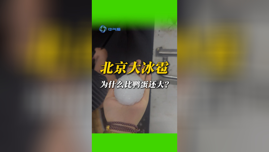 123696澳门六下彩59期直击,男子住动物园酒店 被小熊猫进屋咬伤,机构预测与落实方法揭秘_界面版V14.71